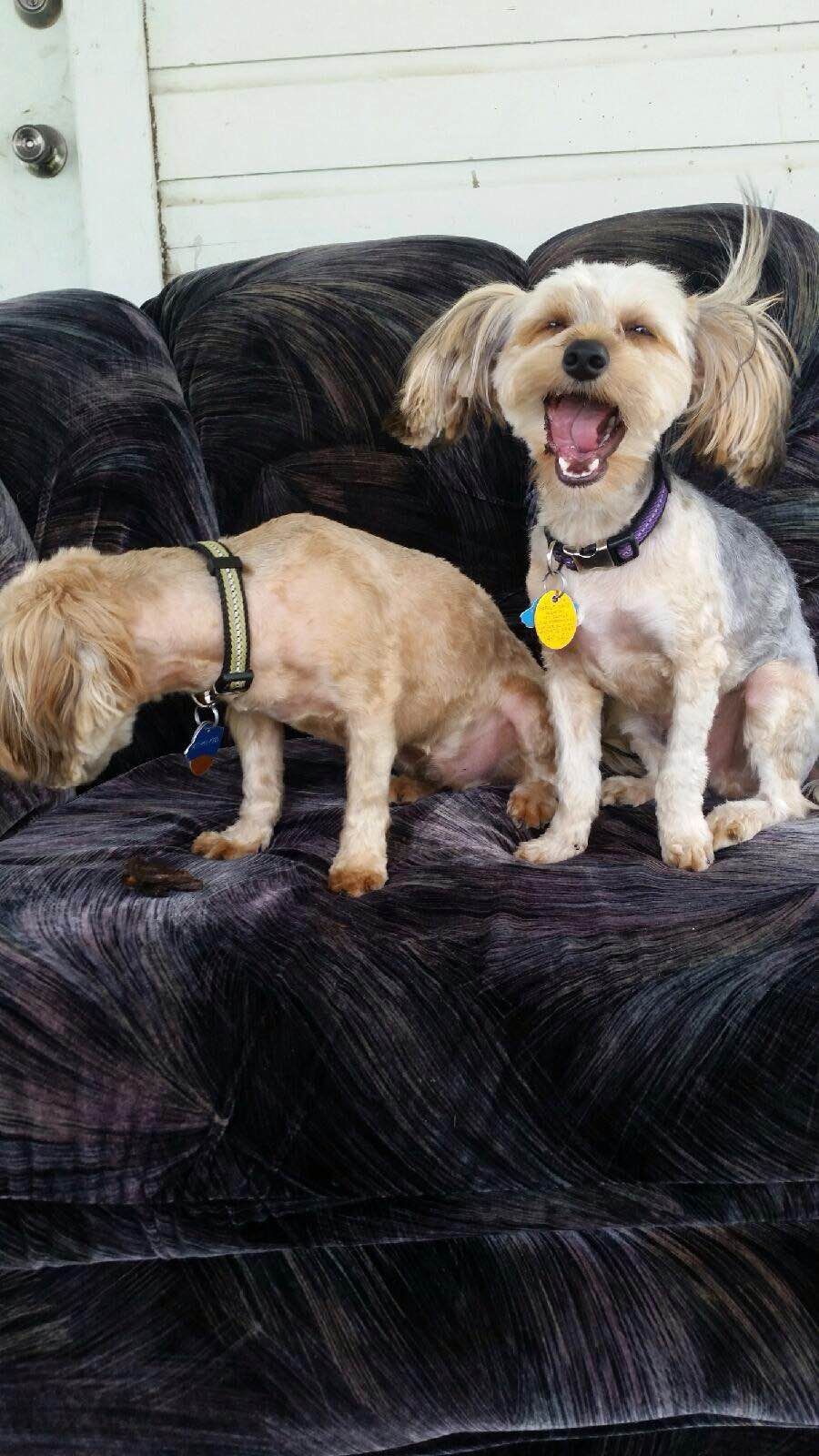 Messi and Meelo